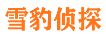 城步市侦探调查公司